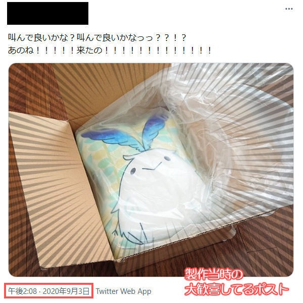 【数量限定】ソラノコクッション