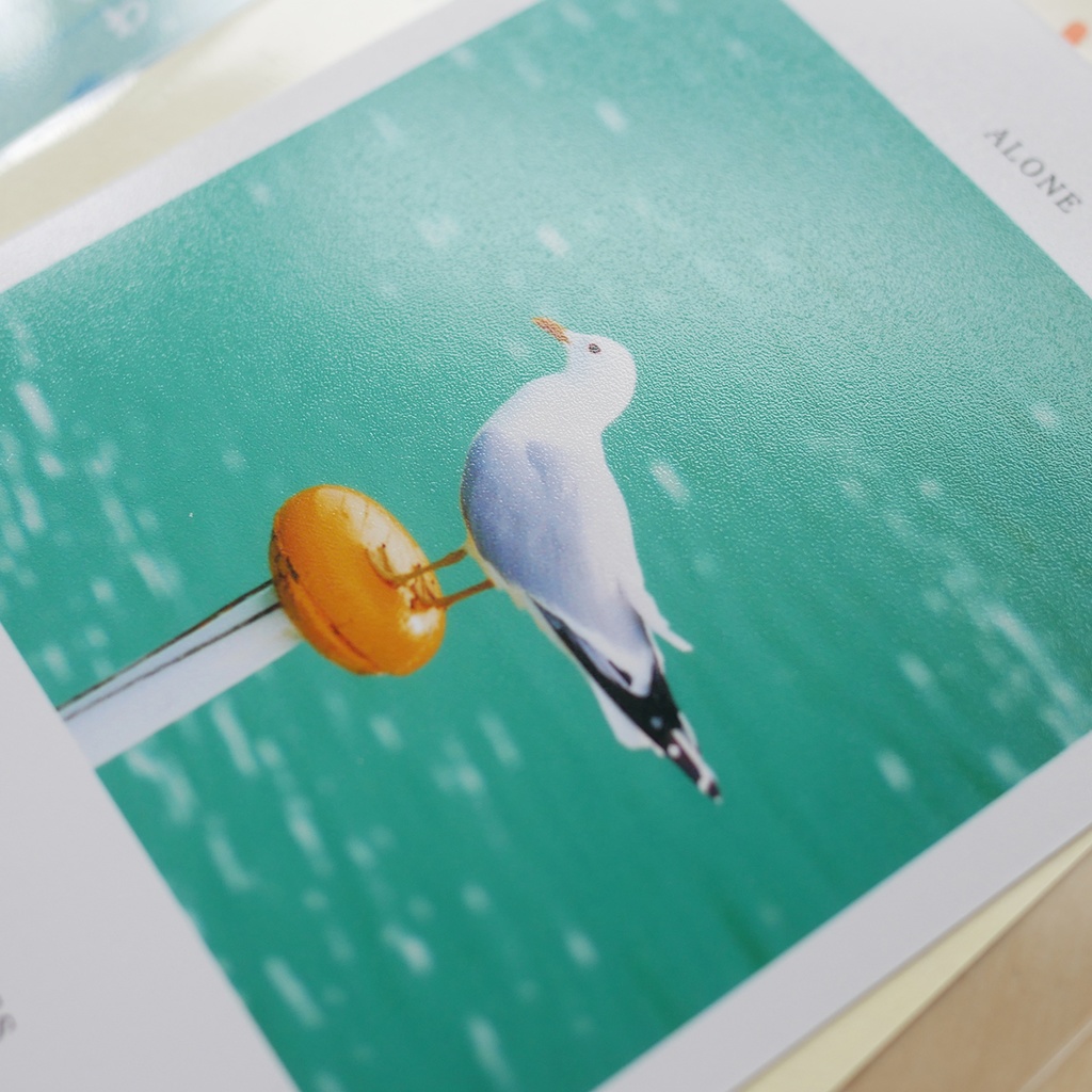 デコ包装付きポストカード「Aセット4枚」