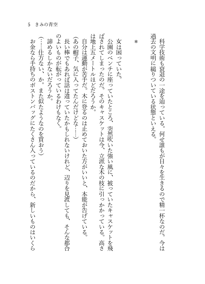《あんしんBOOTHパック(ネコポス)発送》きみの青空