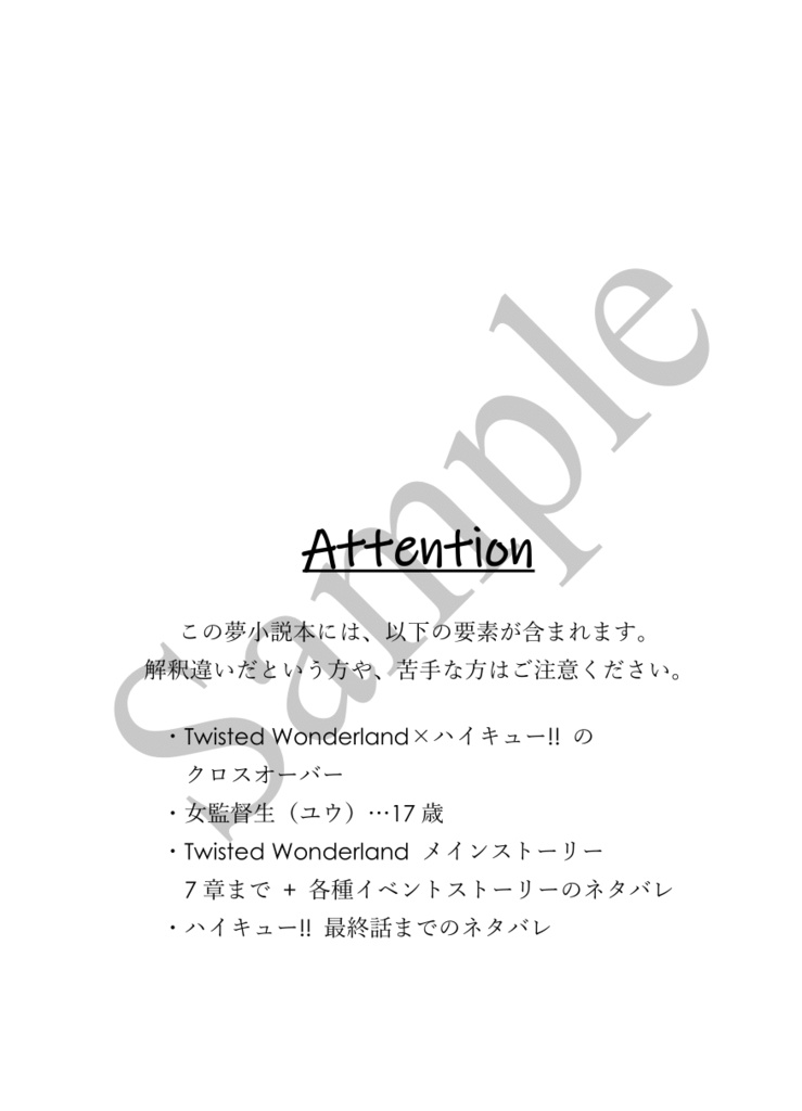 《あんしんBOOTHパック(ネコポス)発送》Lost in a Dream (上)【HQ!! 及川徹 夢小説本】※twstとのクロスオーバー