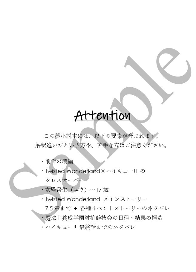 《あんしんBOOTHパック(ネコポス)発送》Lost in a Dream (中)【HQ!! 及川徹 夢小説本】※twstとのクロスオーバー