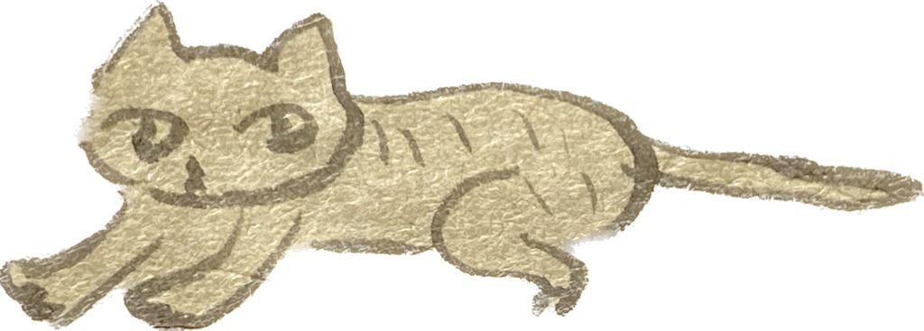 ねこさんTシャツ