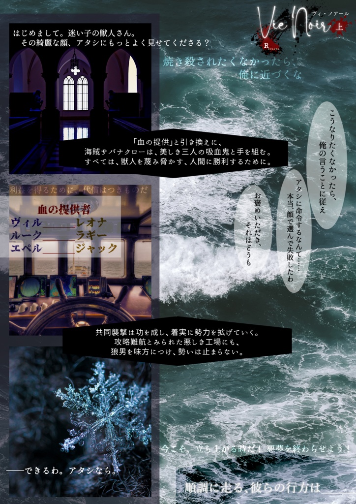 Vie Noir -R-(上)【レオヴィル/オールキャラ】