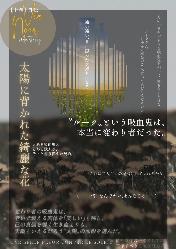 Vie Noir -R-(上)【レオヴィル/オールキャラ】