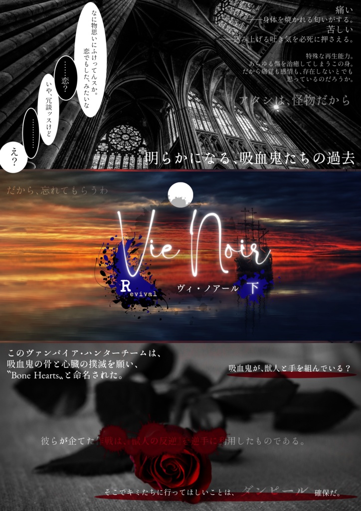 Vie Noir -R-(上)【レオヴィル/オールキャラ】