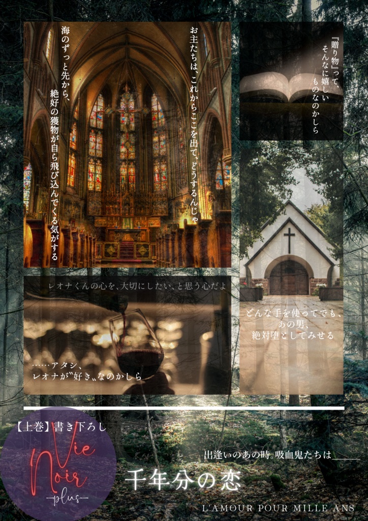 Vie Noir -R-(上)【レオヴィル/オールキャラ】
