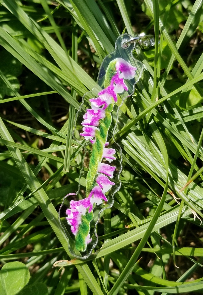 ネジバナのアクリルキーホルダー7cm