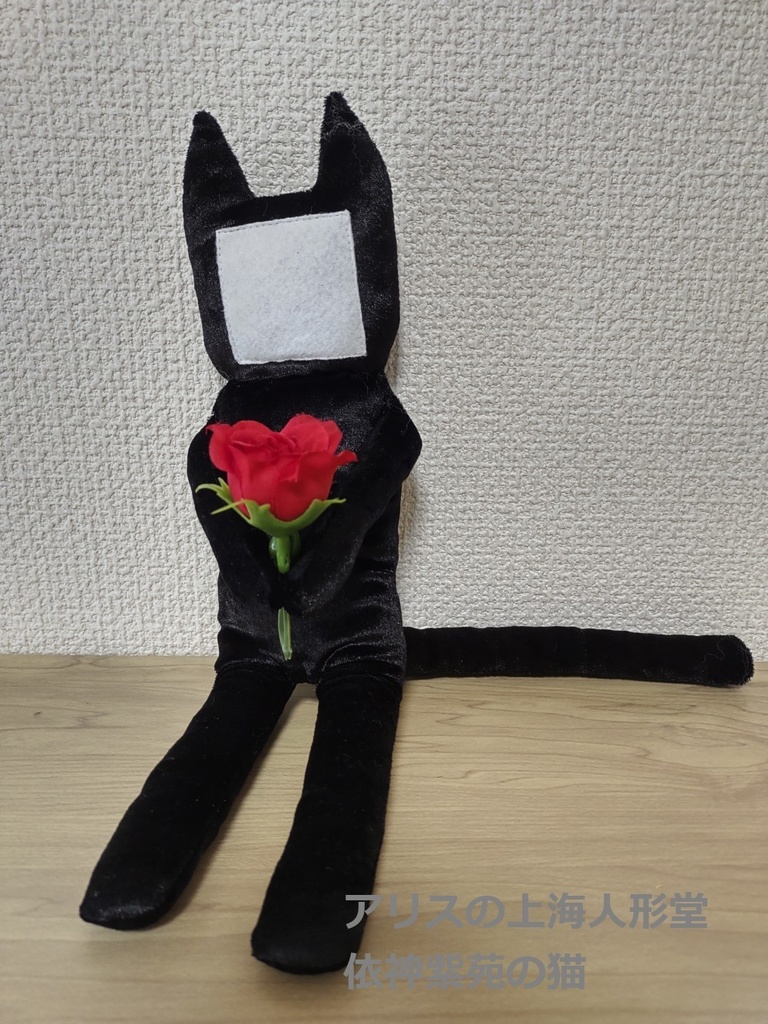 （依神紫苑の）謎猫