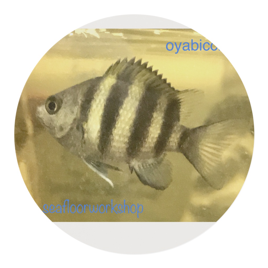 おやびっちゃマスキングテープ