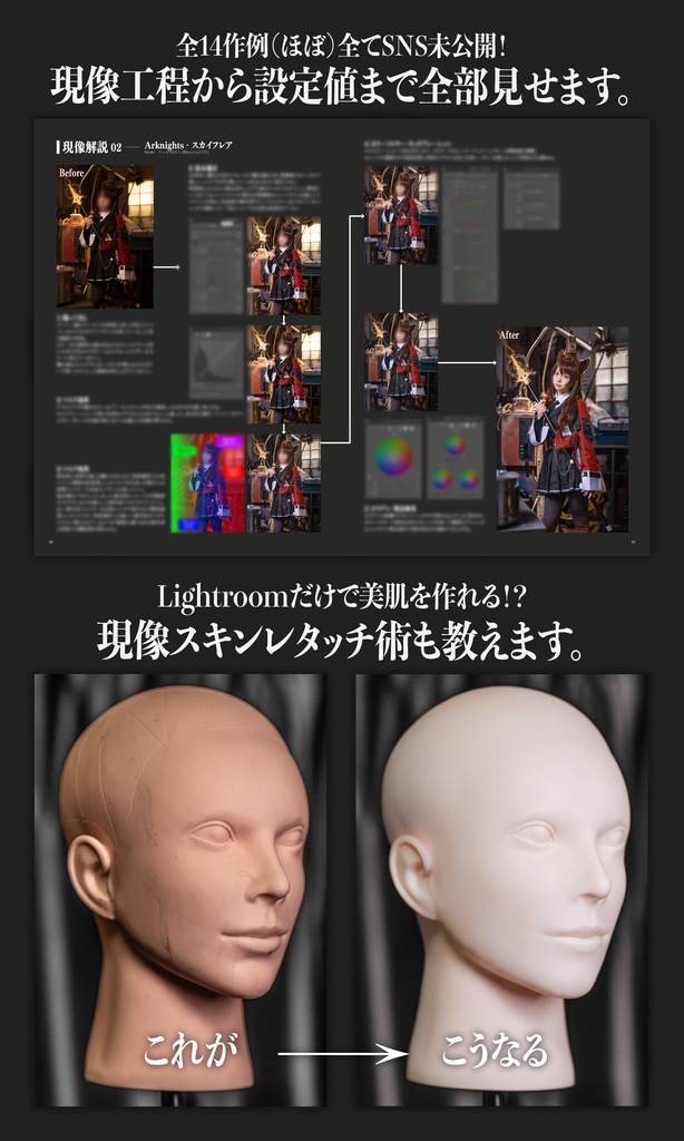 DEVEEEEELOP! Vol.2 -sRGB edition- 【現像プロファイル100種入り】