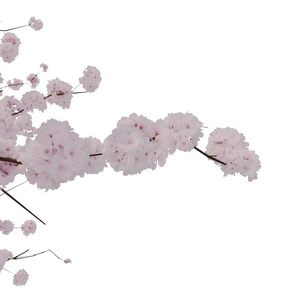 【3Dモデル】桜の木(春)| 建築パース・漫画背景・3Dアニメ向け | blend/fbx同梱