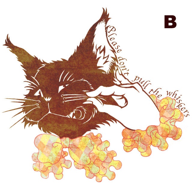 Please don't pull the whiskers