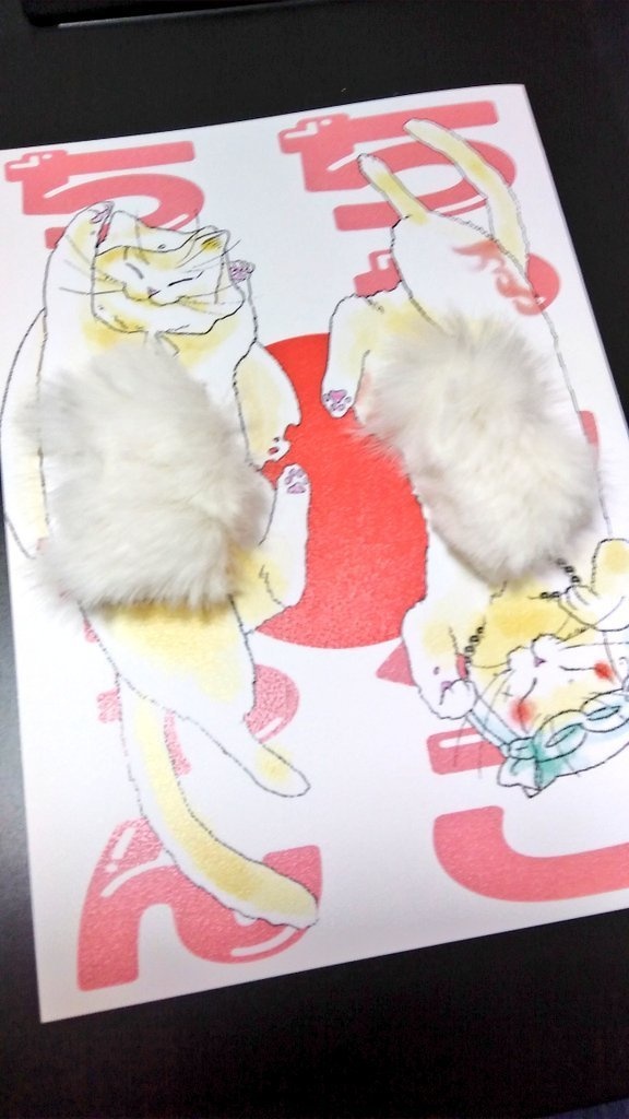 ちゃんねこちゃんちゃん