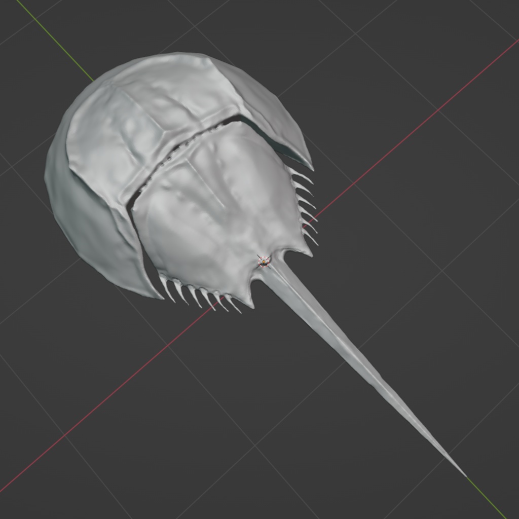 カブトガニ3D.blend