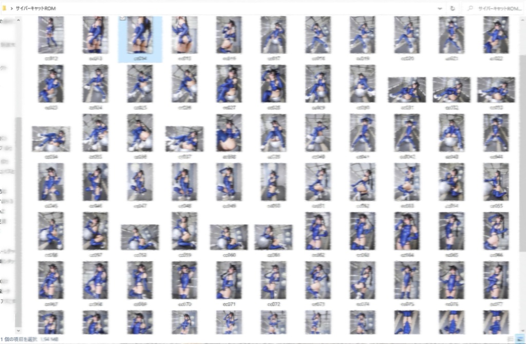 Cyber Cat. 🐈⬛🐾【ダウンロード版】