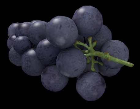 ブドウ