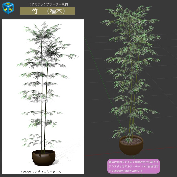 竹 (植木)