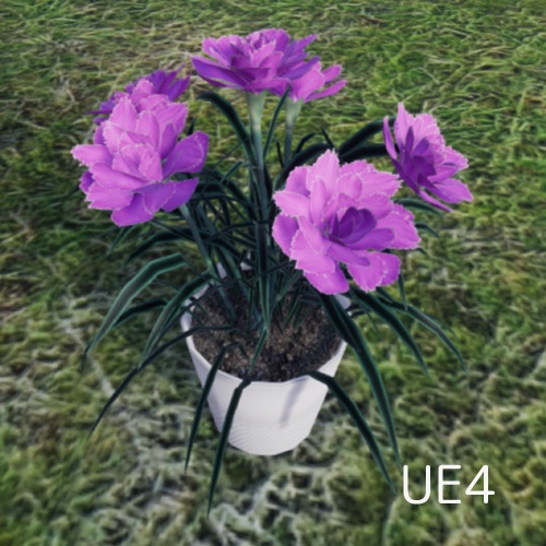 カーネーション