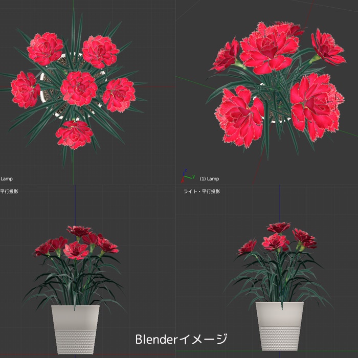 カーネーション