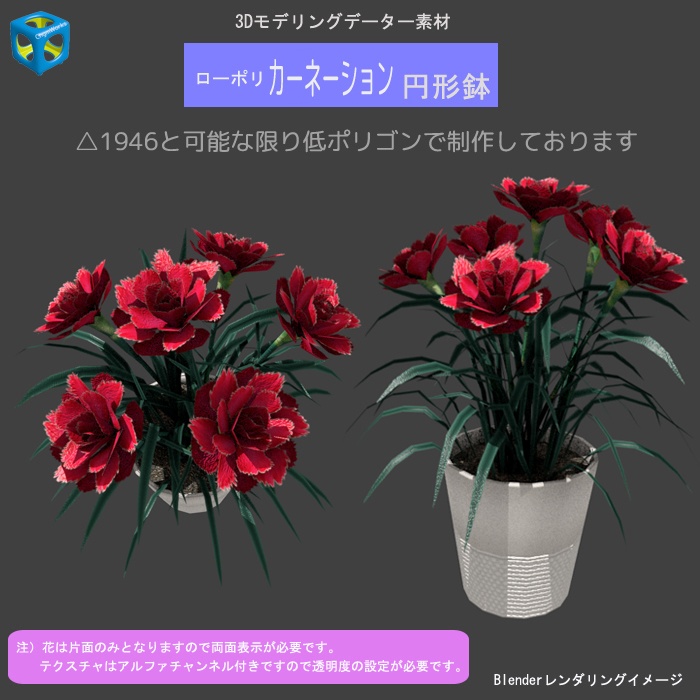 カーネーション