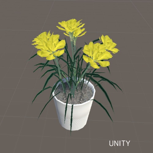 カーネーション