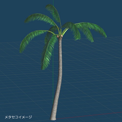 ヤシの木