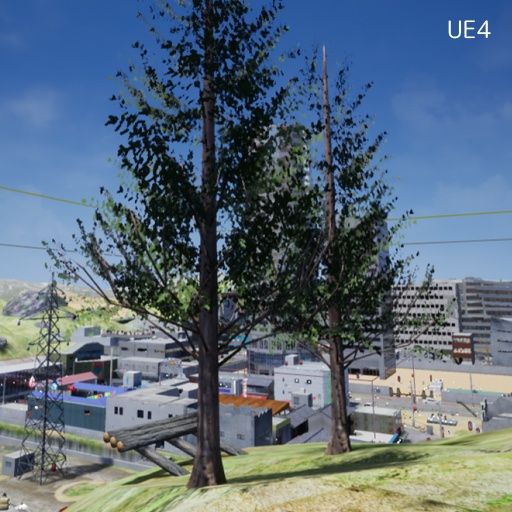 メタセコイア のような木