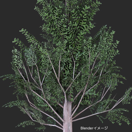 メタセコイア のような木