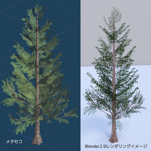 メタセコイア のような木