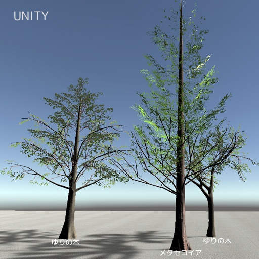 メタセコイア のような木