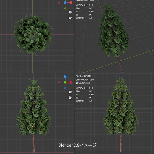 ゴールドクレスト のような木
