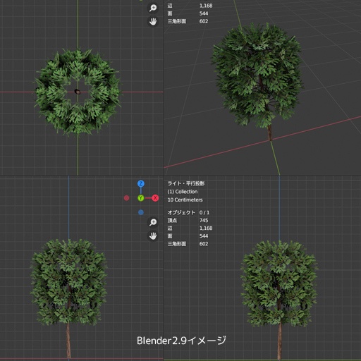 ゴールドクレスト のような木