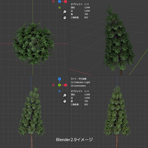 ゴールドクレスト のような木