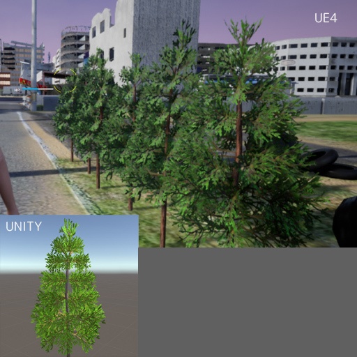 ゴールドクレスト のような木