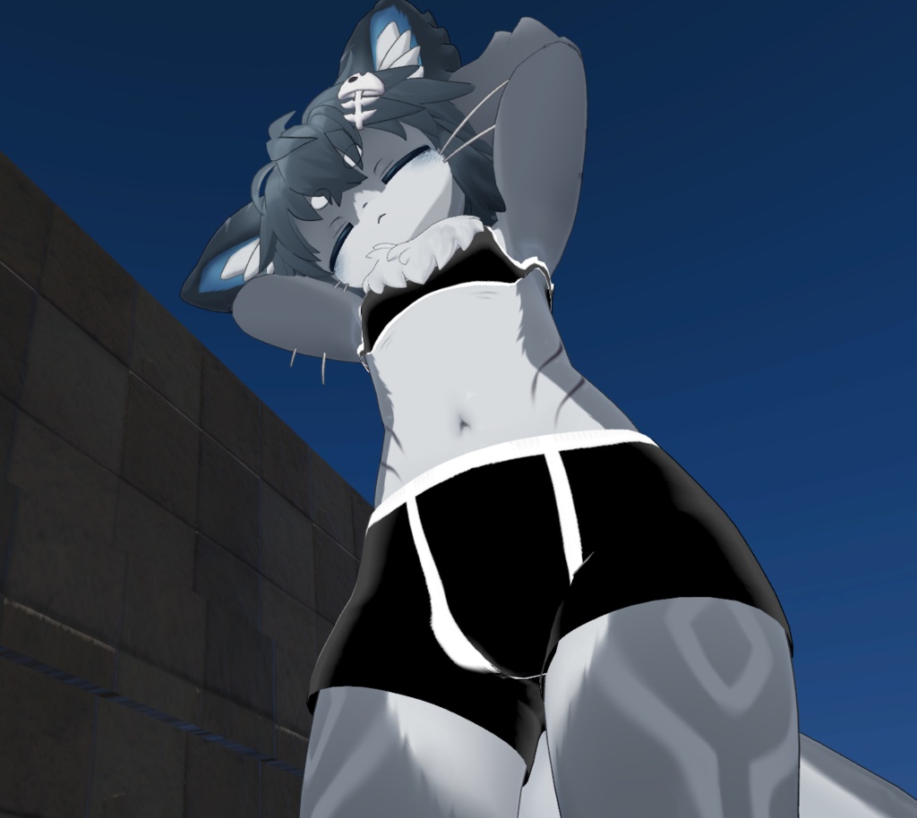 【Chalo シャロ対応】インナーセット