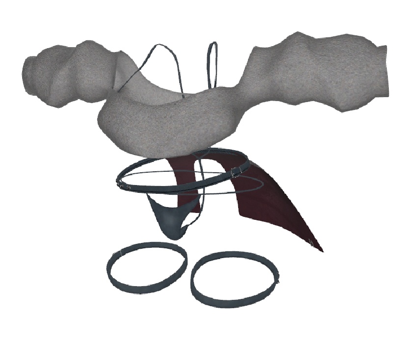 【Zil S -ジル S-対応衣装】ZYN (ザイン)