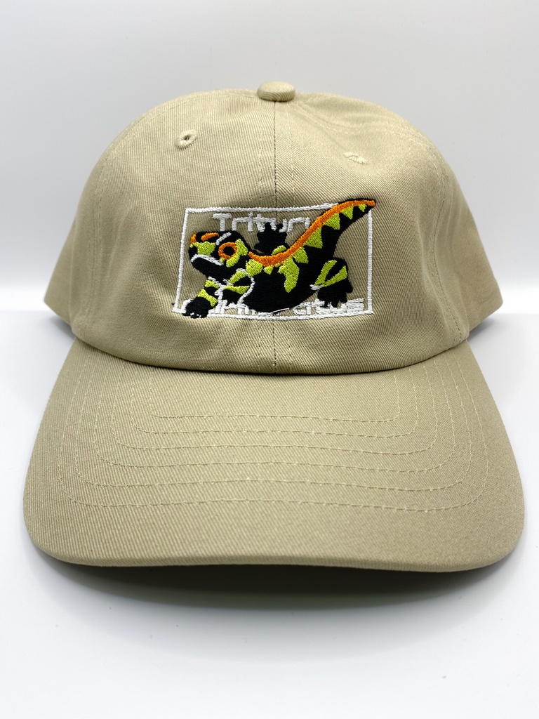 イモリの刺繍キャップ