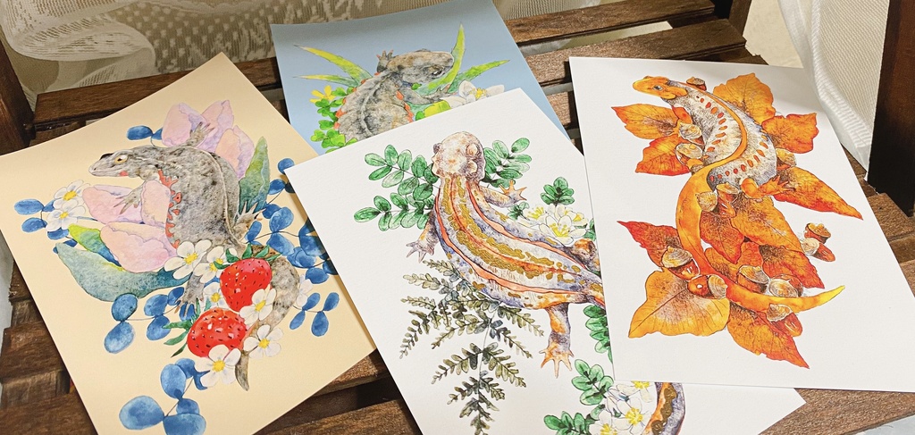 イモリのポストカード