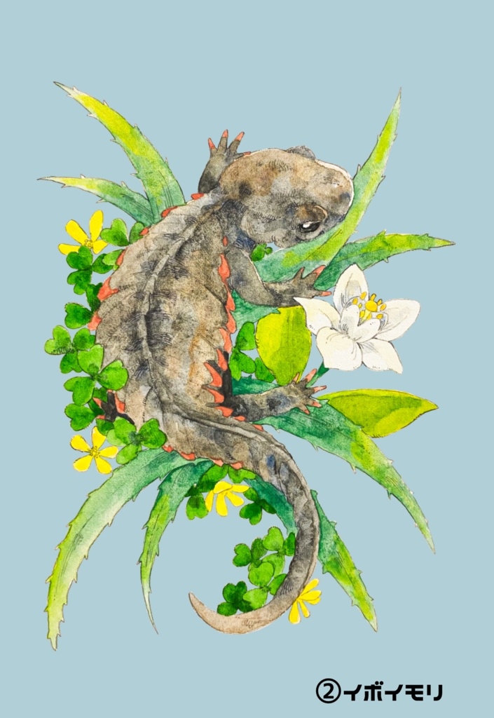 イモリのポストカード