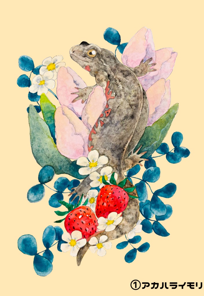 イモリのポストカード