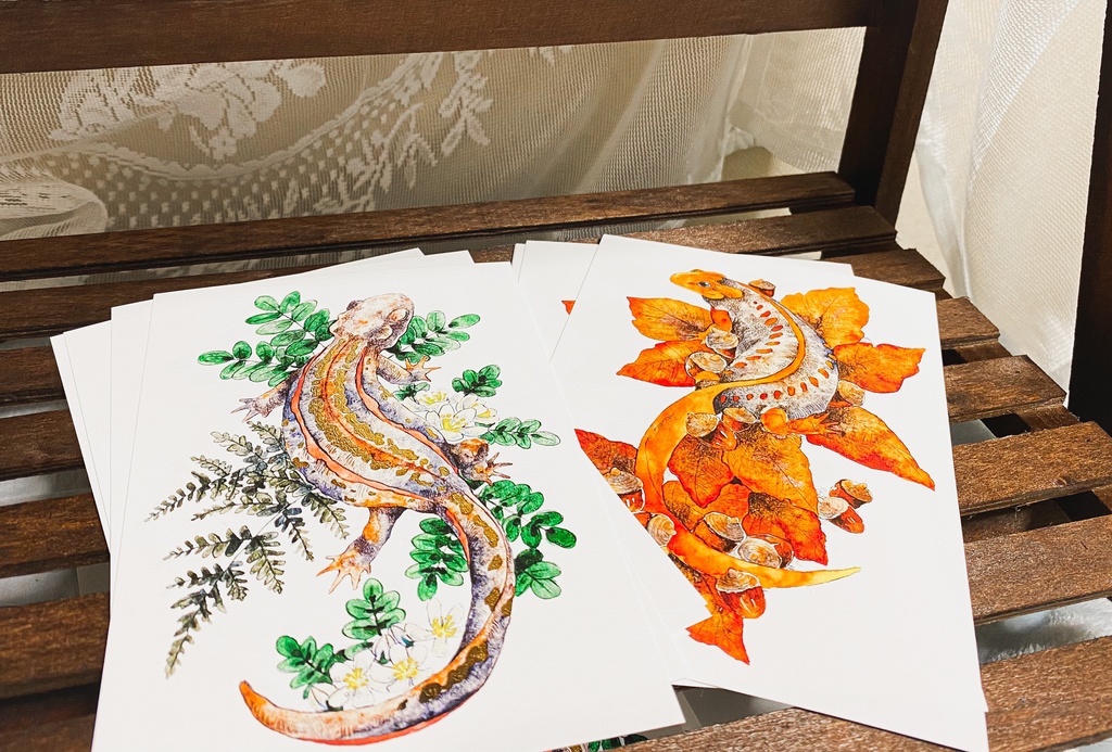 イモリのポストカード