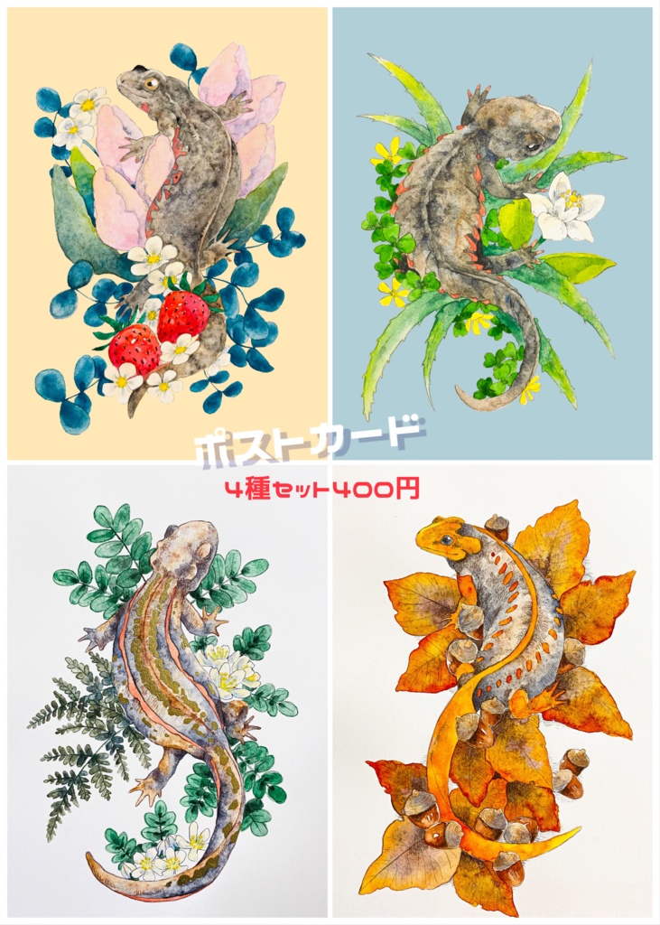 イモリのポストカード