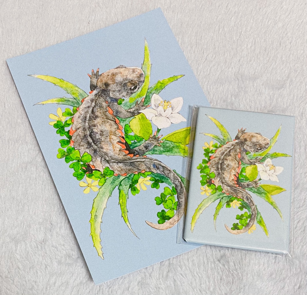 イモリの缶バッジ