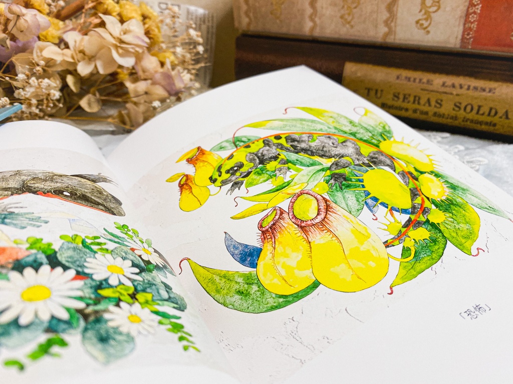 作品集「花とイモリ」