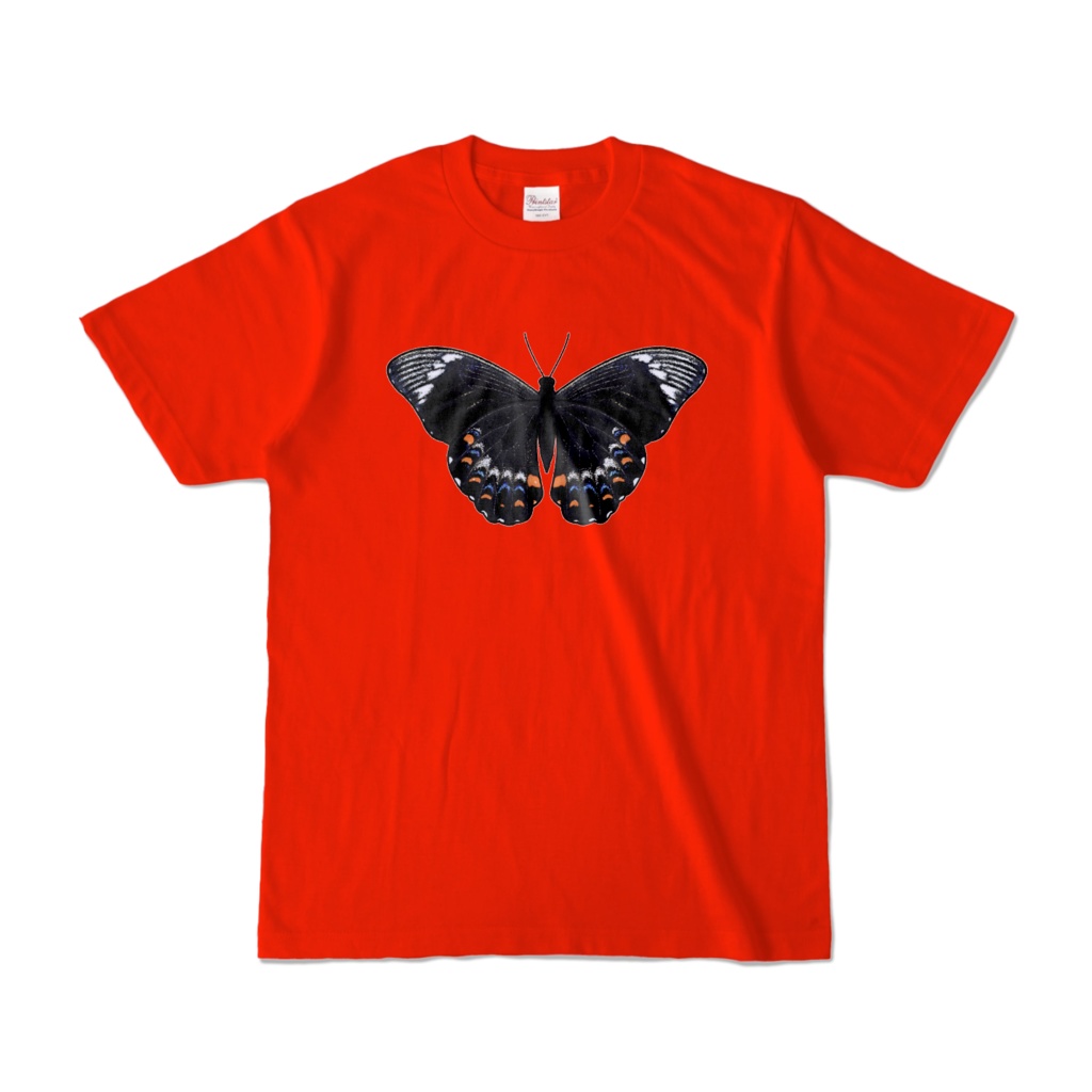 蝶柄Tシャツ（オーチャード・スワローテイル）