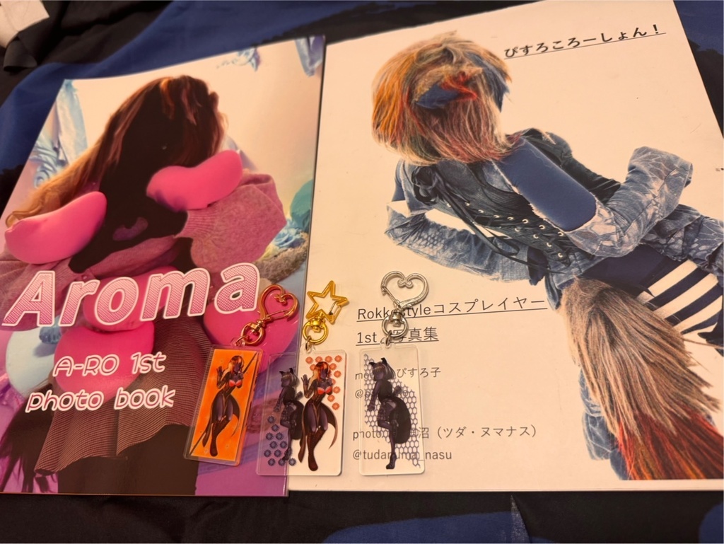 ぴすろ子&A-RO 1st 写真集 アクキー 全部セット