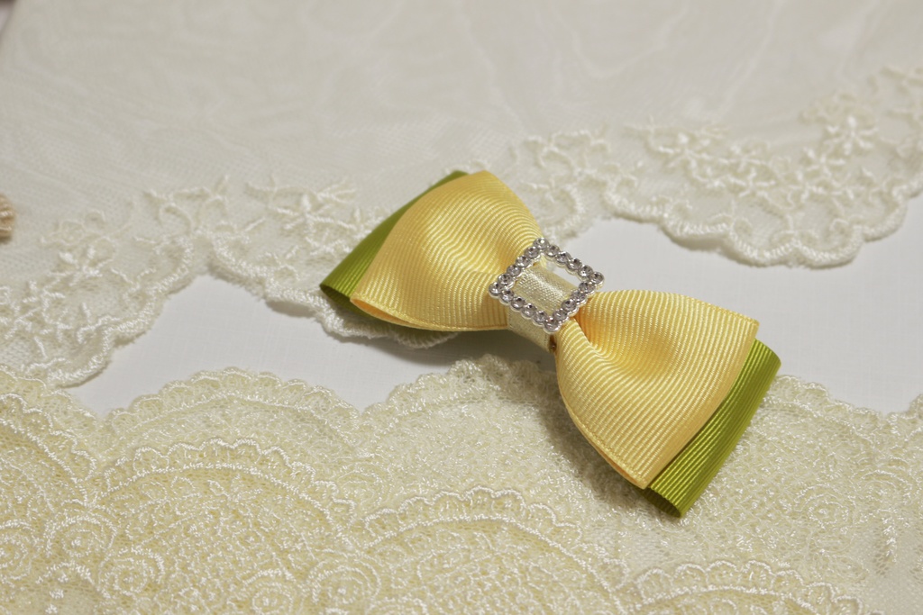 FP&MTRイメージヘアクリップ