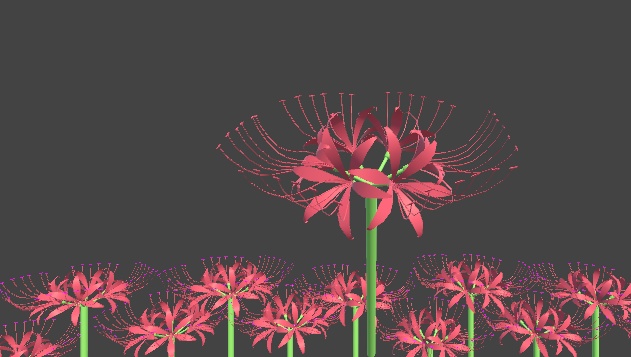彼岸花