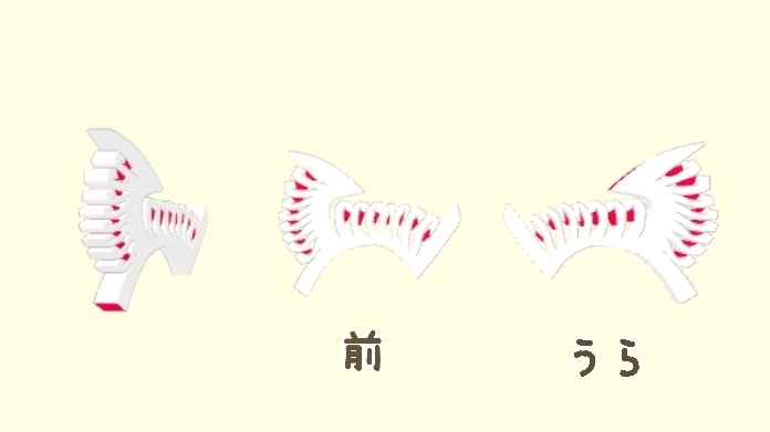 お祝いかまぼこ