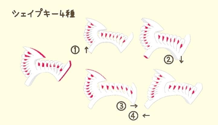 お祝いかまぼこ